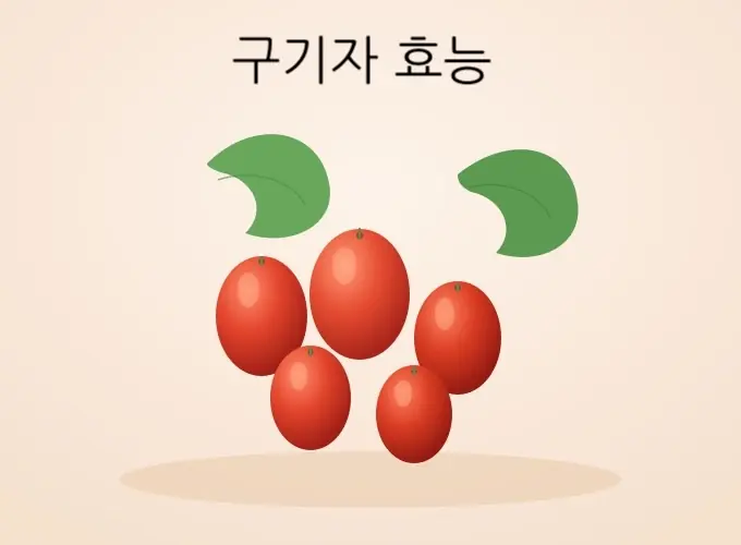 구기자(고지배리) 효능부터 먹는 법까지 완벽 정리